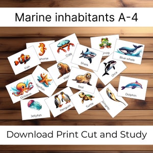 Cute Under the Sea Animals Flashcards | Marine Inhabitants A-4 | Ocean Animal Digital Cards for Kids | Preschool Learning Activities