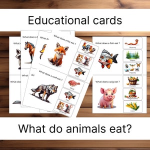 Animal Flashcards for Kids | What Do Animals Eat? | Printable Educational Cards | Homeschool & Preschool  |  Learn what animals eat