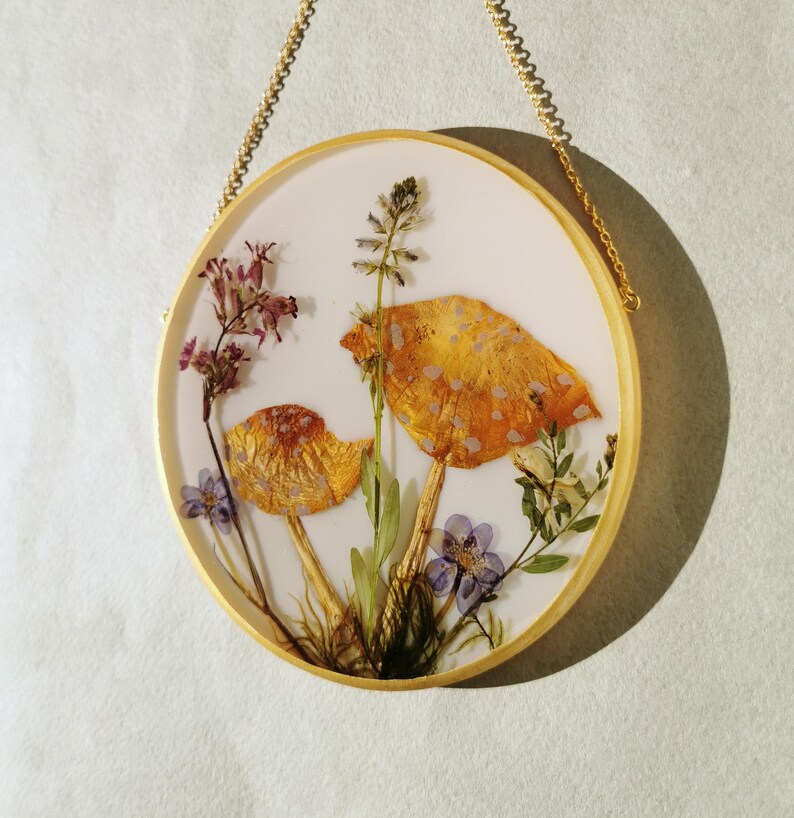 Amanita Mushroom Painting Pressed Flower Frame Resin Mushroom in Resin