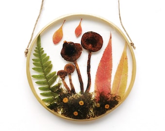 Resin Mushroom Decor Resin Art  Mushrooms Wall Hanging Pressed Flower Frame Forest  Wall Decor Fern and Moss Frame Mushrooms Gift