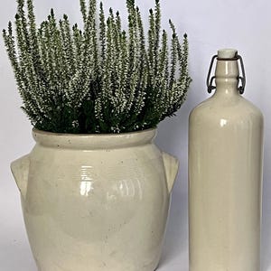 Puede incluir: Una vasija de cerámica color crema con dos asas laterales que contiene una planta verde con flores blancas, junto a una botella cilíndrica alta de cerámica color crema con un mecanismo de cierre de clip de metal.