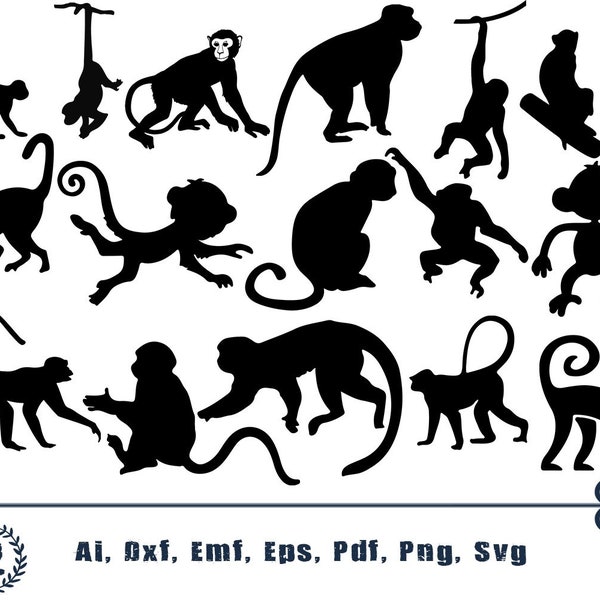 MONKEY SVG, monkeys svg, ape svg, chimp svg, primat svg, nature svg, animals svg, svg png eps dxf cut file clipart cricut silhouette