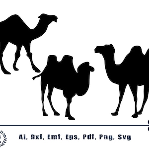 Camel SVG Bundle, Camel SVG, Camel Clipart, Camel Cut Files For Silhouette, Files for Cricut, Camel Vector, Svg, Dxf, Camel Png, Eps, Design