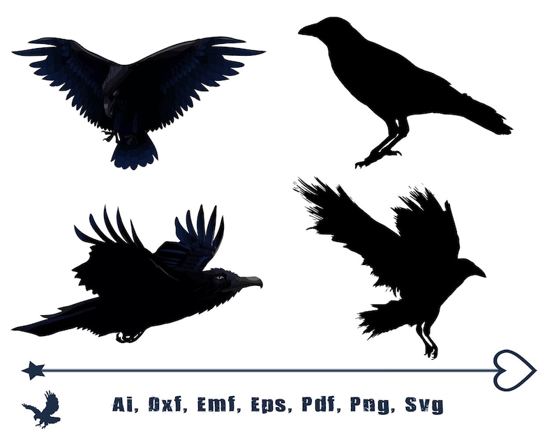 Download Raven Clip Art Raven Svg Bird Svg Crow Svg Raven Cut File Silhouette Files Raven Silhouette Crow Cut File Cricut Cut Files Sewing Fiber Craft Supplies Tools Kromasol Com