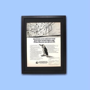ADVERTISING poster advertising VINTAGE ORIGINAL WWF falco biancone year 1974