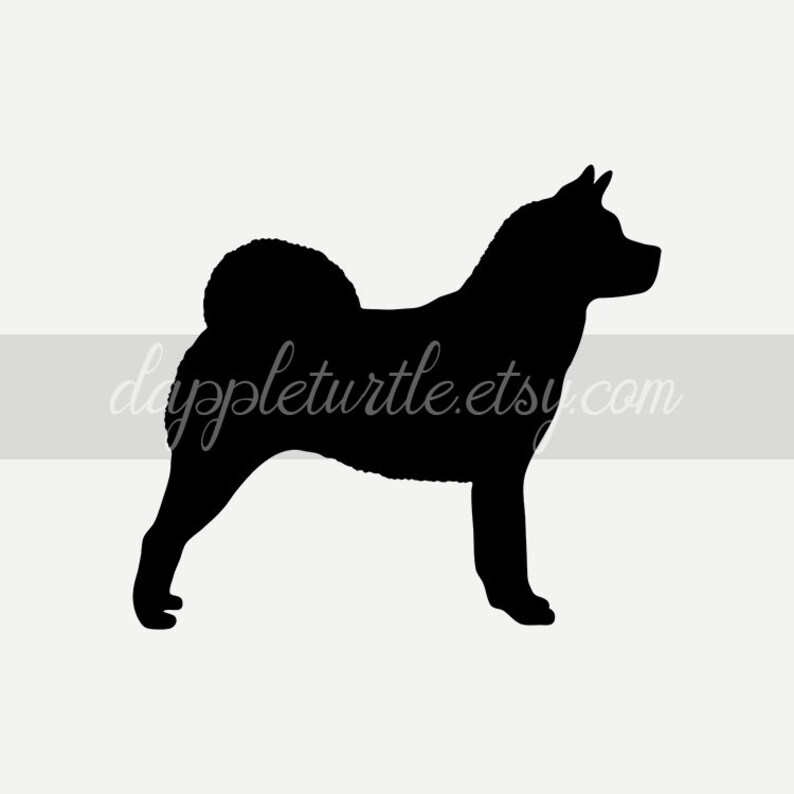 Download American Akita silhouette: instant download PNG and SVG ...