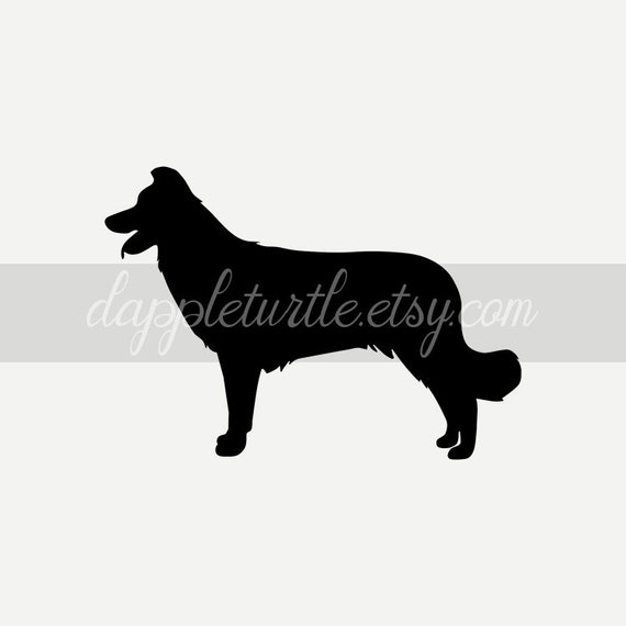 Download Border Collie Silhouette Instant Download Png And Svg Files Etsy