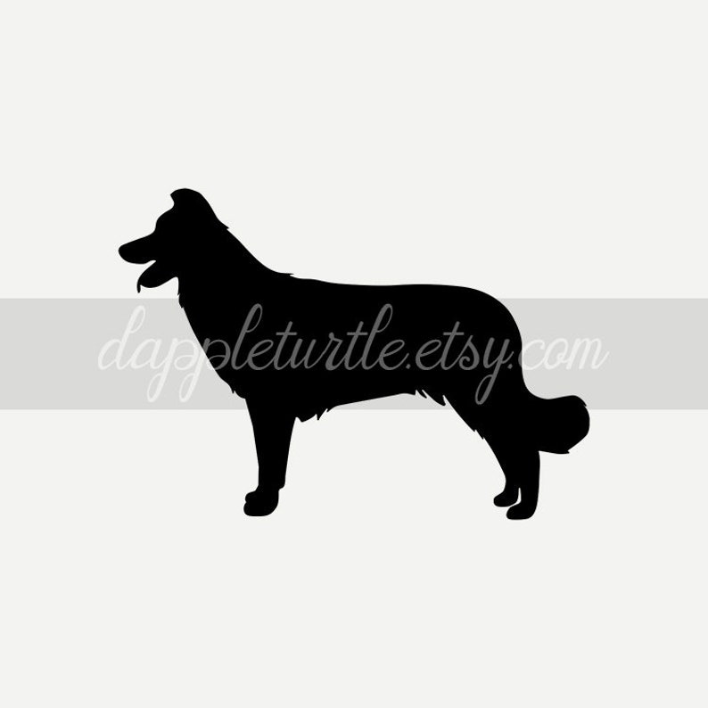 Download Border Collie silhouette: instant download PNG and SVG ...
