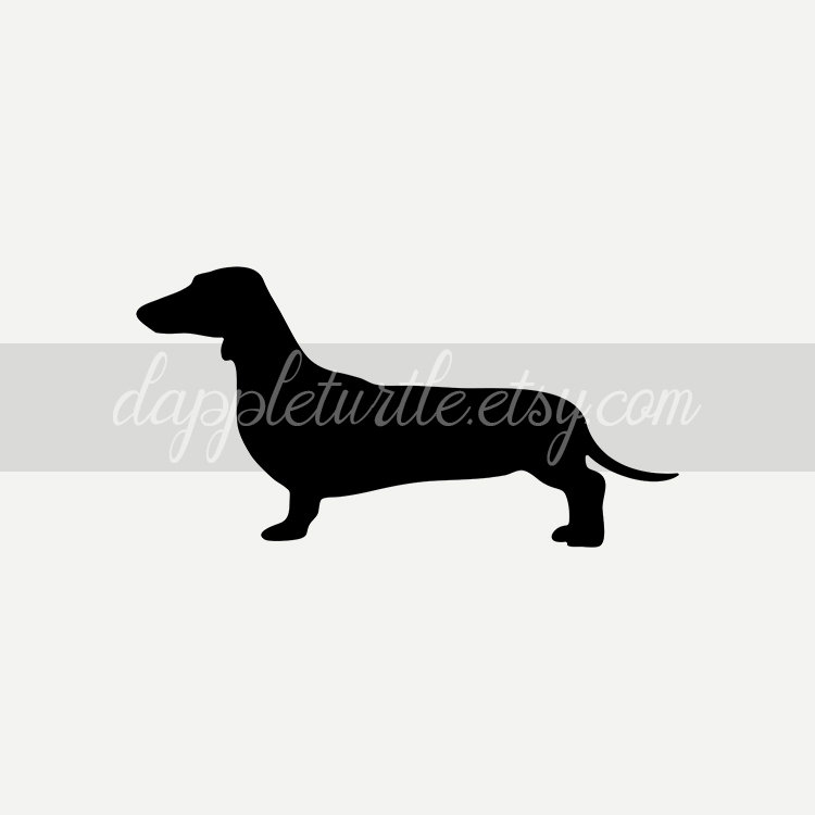 Smooth Haired Dachshund Silhouette Instant Download Png And Etsy