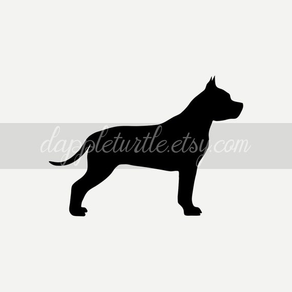 Download American Staffordshire Terrier Silhouette Instant Download Etsy