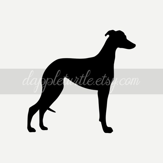 Italian Greyhound Silhouette Instant Download Png And Svg Etsy