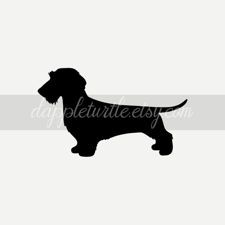 Download Wire Haired Dachshund Silhouette Instant Download Png And Svg Etsy