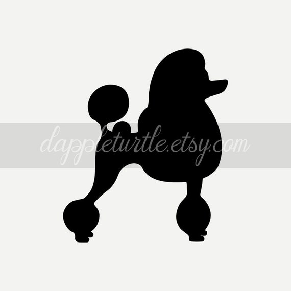 Download Standard Poodle Silhouette Instant Download Png And Svg Etsy