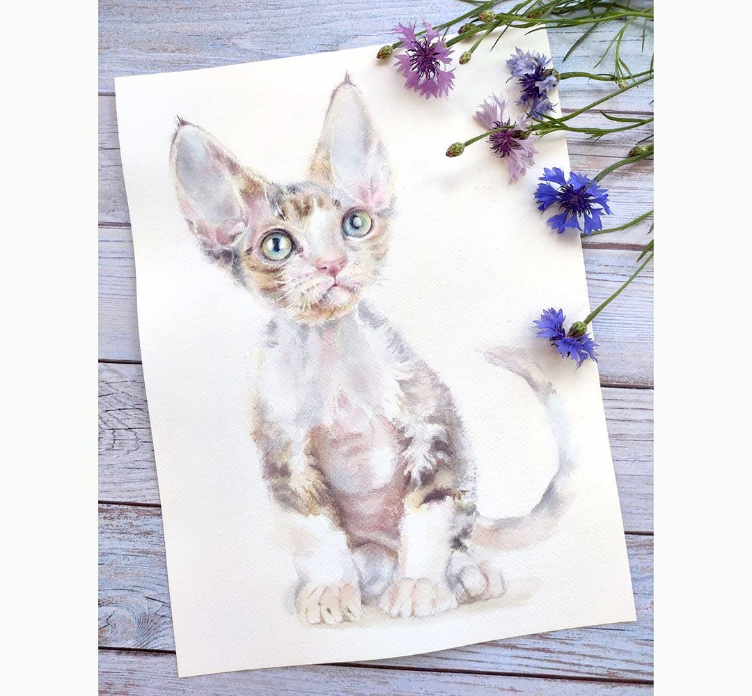 Devon Rex Cat Portrait Original Watercolor Painting Pet Lover Gift - Etsy