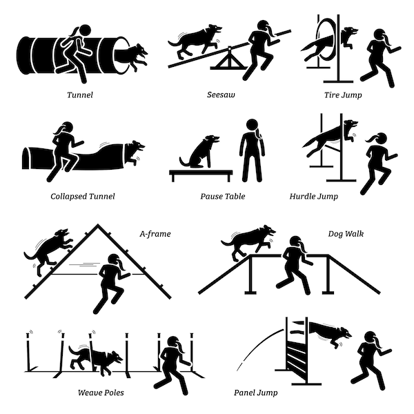 Hund Agility Agile Wettbewerb Hindernisse Hürden Lauf Rennen Rennen Tunnel Barriere Pole Handler Trainer Academy Stick Figur PNG SVG Vector