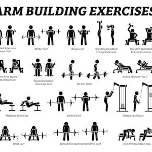 May include: A black and white illustration of 14 different arm building exercises. The exercises include dumbbell curls, tricep extensions, bench dips, and more.