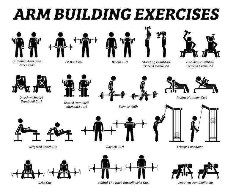 May include: A black and white illustration of 14 different arm building exercises. The exercises include dumbbell curls, tricep extensions, bench dips, and more.