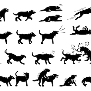 Dog Dogs Canine Wild Domestic Actions Standing Walking Running Jumping Bark Barking Eating Mating Hump Instant Download Icons PNG SVG Vector
