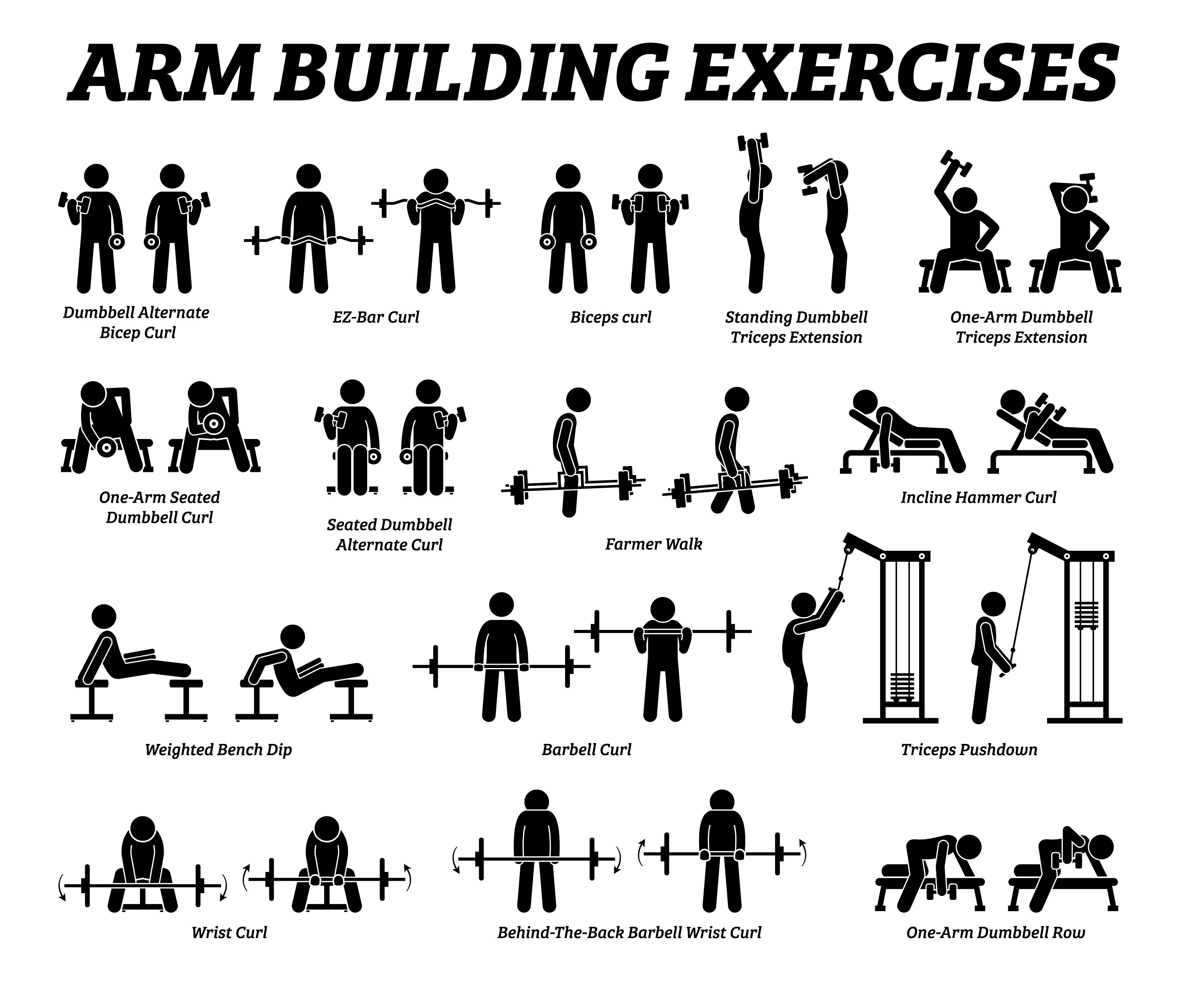 Chest Workout Set. Collection of Exercise for Arm Stock Vector -  Illustration of bicep, energy: 156387811