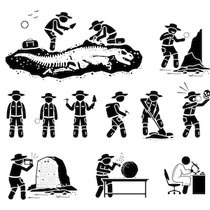 May include: Black and white stick figure illustrations of archaeologists excavating and examining dinosaur bones, a skull, a stone tablet, and other artefacts. The illustrations depict various activities, such as digging, using a magnifying glass, taking photos, and examining objects under a microscope.
