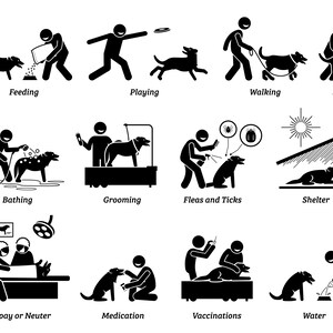 May include: Black and white illustrations of a person caring for a dog. The illustrations show a person feeding, playing, walking, loving, bathing, grooming, treating for fleas and ticks, sheltering, spaying or neutering, medicating, vaccinating, and giving water to a dog.