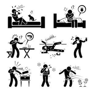 Allergy Allergic Reactions Animal Food Environment Cat Dust Mites Seafood Prawn Medicine Dust Cold Pollen Human People Man PNG SVG Vector