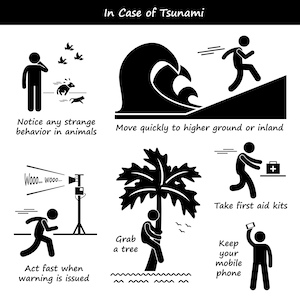 Tsunami Emergency Action Plan Awareness Alert Evacuate Evacuation Escape Flood Danger Risk Runaway Survival Tips Download PNG SVG Vector