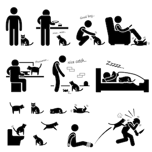 Man People Person Cat Pet Owner Cat Food Silhouette Actions Together Stick Figure Stickman Download Illustration Artwork Icon PNG SVG Vector