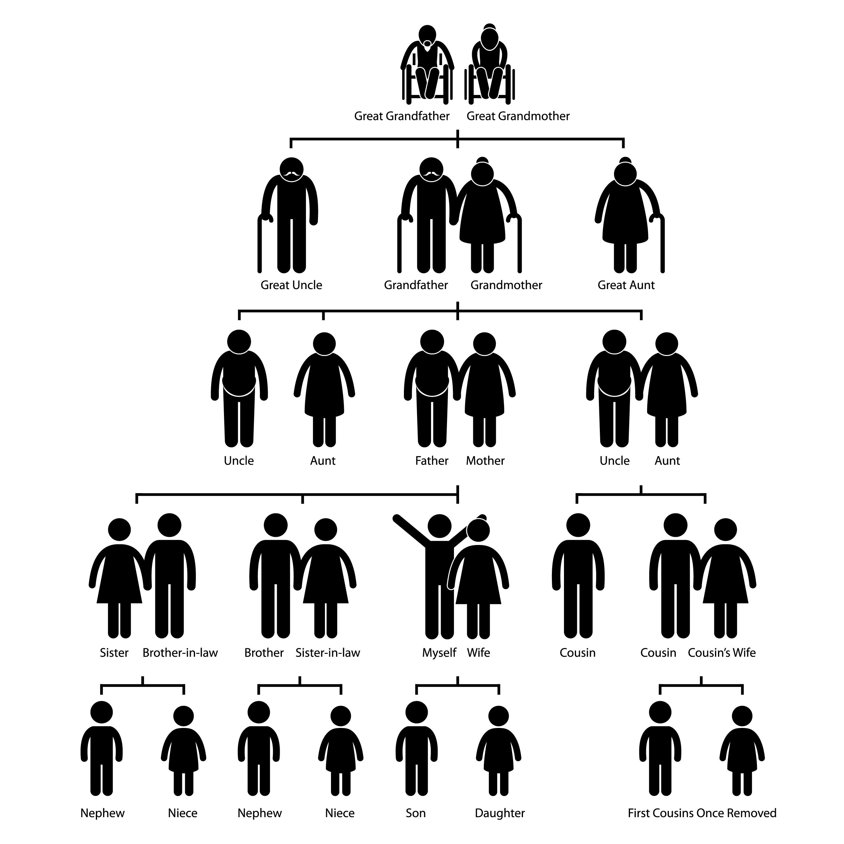 Ancestro del árbol genealógico Genealogy organización jerarquía Ancestro del árbol genealógico Genealogy organización jerarquía