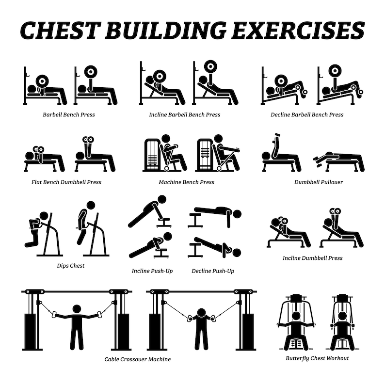 May include: Black and white stick figure illustrations of different chest building exercises, including barbell bench press, incline barbell bench press, decline barbell bench press, flat bench dumbbell press, machine bench press, dumbbell pullover, dips chest, incline push-up, decline push-up, incline dumbbell press, cable crossover machine, and butterfly chest workout.
