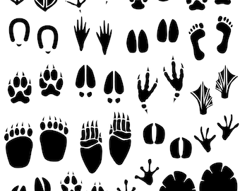 Animal Footprint, Animal Tracks, Animal Paws, Animal SVG, Animal EPS, Wildlife PNG, Wild Animals, Silhouette, Symbols, Signs, Foot, Print