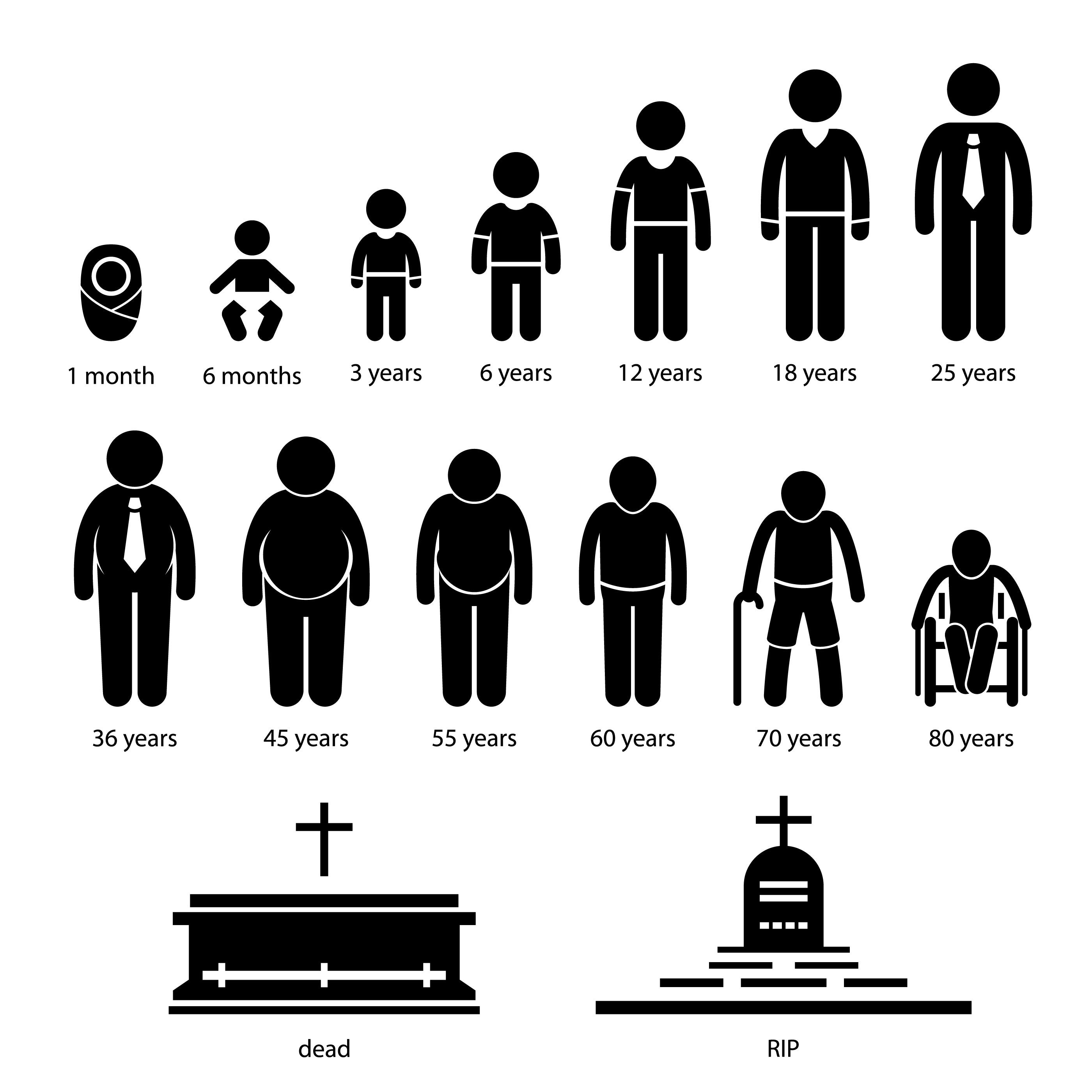 Life cycles of man stages growing up from baby Vector Image