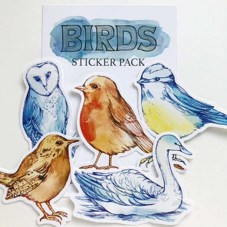 Pack of 5 Stickers Birds Bird Stickers Nature Stickers - Etsy