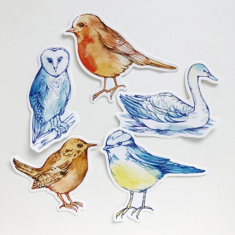 Pack of 5 Stickers Birds Bird Stickers Nature Stickers Etsy