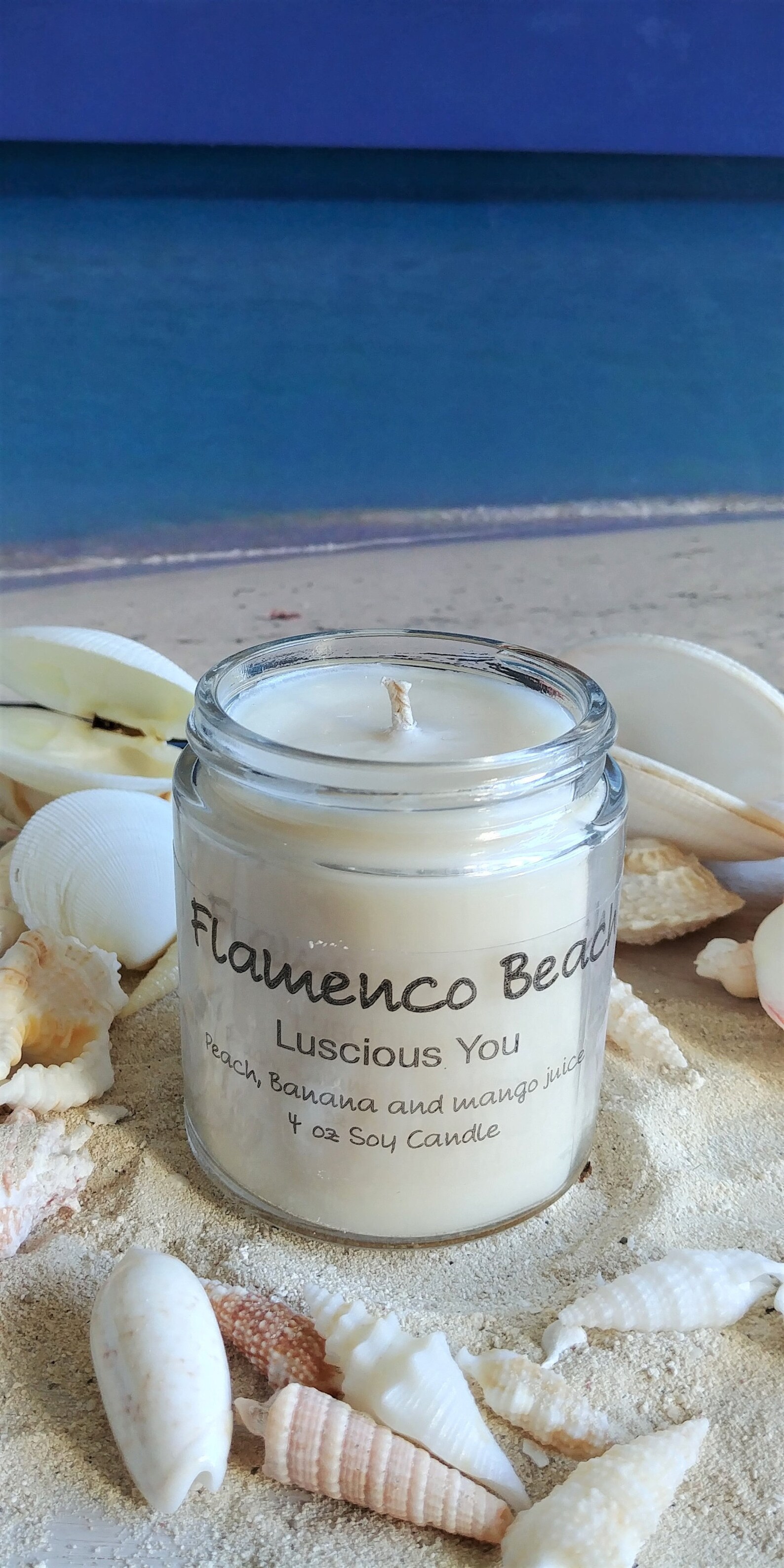 Exotic BeachesCOCOA 3 scented soy candles 3 beach candles Etsy