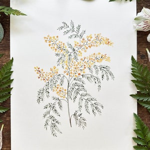 Mimosa Print | Watercolor yellow flower | botanical Watercolor | botanical Decor | botanical Wall Art | botanical Wall Decor