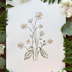 Daisies Print | Watercolor Daisy | botanical Watercolor | daisies Decor | daisies Wall Art | botanical Wall Decor