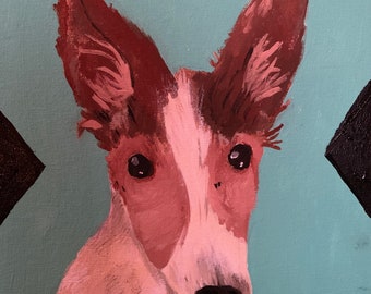 Retratos de mascotas