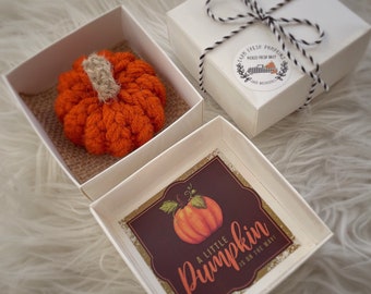 A Little Pumpkin, September Baby, Pregnancy Reveal Box, Fall Pregnancy Announcement