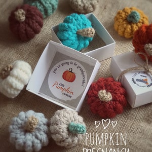 PREGNANCY REVEAL BOX, Little Pumpkin Pregnancy Announce, You're Going To Be Grandparents, Halloween Reveal, Fall Baby Keepsake image 9