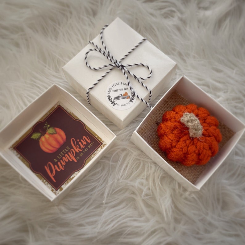 May include: A small orange crocheted pumpkin in a white gift box with a brown hessian lining. The box has a sticker that says "Farm Fresh Food Picked Fresh Daily The Homestead".