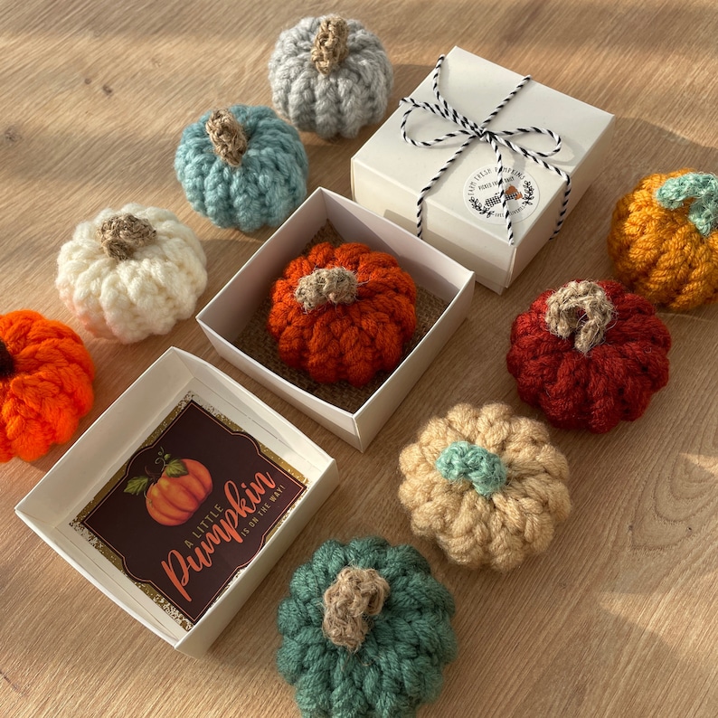 May include: A collection of nine small crocheted pumpkins in various colours, including orange, red, white, grey, and green. The pumpkins are arranged in a decorative display on a wooden surface. A small gift box with a label that reads "A Little Pumpkin is on the Way!" is included in the display.