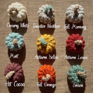 May include: Nine crocheted pumpkins in various colors, including creamy white, sweater weather, fall morning, mint, autumn yellow, autumn leaves, hot cocoa, fall orange, and green. The pumpkins are arranged in a grid on a burlap background.