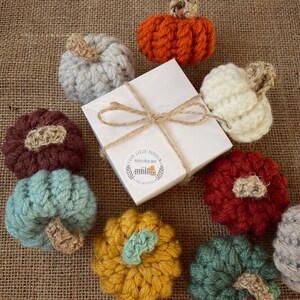 May include: A collection of nine crocheted pumpkins in various colors, including red, brown, white, green, blue, and yellow. The pumpkins are arranged on a burlap background. A white box with a brown twine bow and a sticker that reads "Farm Fresh Pumpkins Picked Fresh Daily" is in the center of the image.