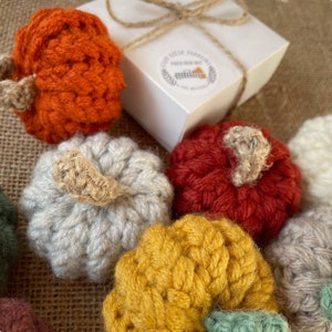 May include: A collection of small crocheted pumpkins in various colors, including orange, red, gray, yellow, and green. The pumpkins are arranged on a burlap surface, with a white box in the background.