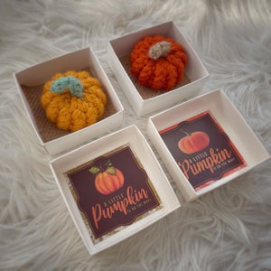May include: Four small white boxes with lids. Each box contains a crocheted orange pumpkin and a printed card with the text "A little pumpkin is on the way".