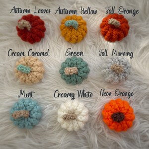 May include: Nine crocheted pumpkins in various colours, including autumn leaves, autumn yellow, fall orange, cream caramel, green, fall morning, mint, creamy white, and neon orange.