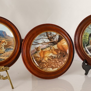 Collectors Plate Series &quot; Great Cats of the Americas&quot; 1st Issue with Custom Frames Included