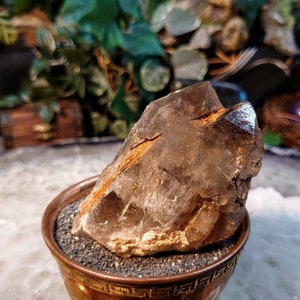 Natural Smoky Quartz Cluster with Heavy Etching and Self Healing from Malawi, Africa for Collection / 169g / Home & Altar Decor / Protection
