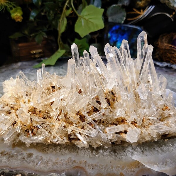 Colombian Clear Quartz Needle Cluster for Crystal Healing / 564g / Crystal Grids / Meditation / Home and Altar Decor